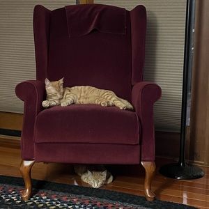 Meet your Posher, Beth